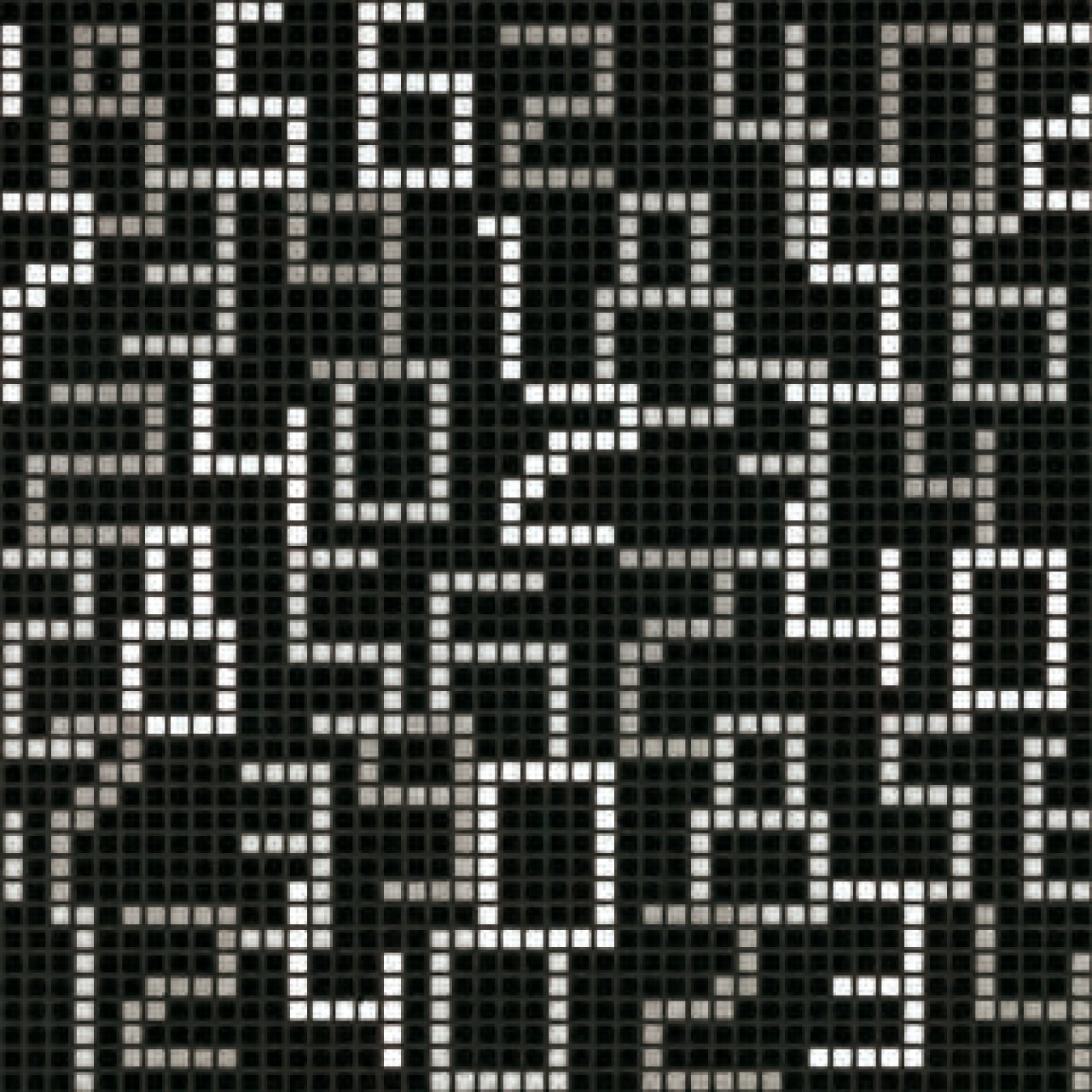 Data Black