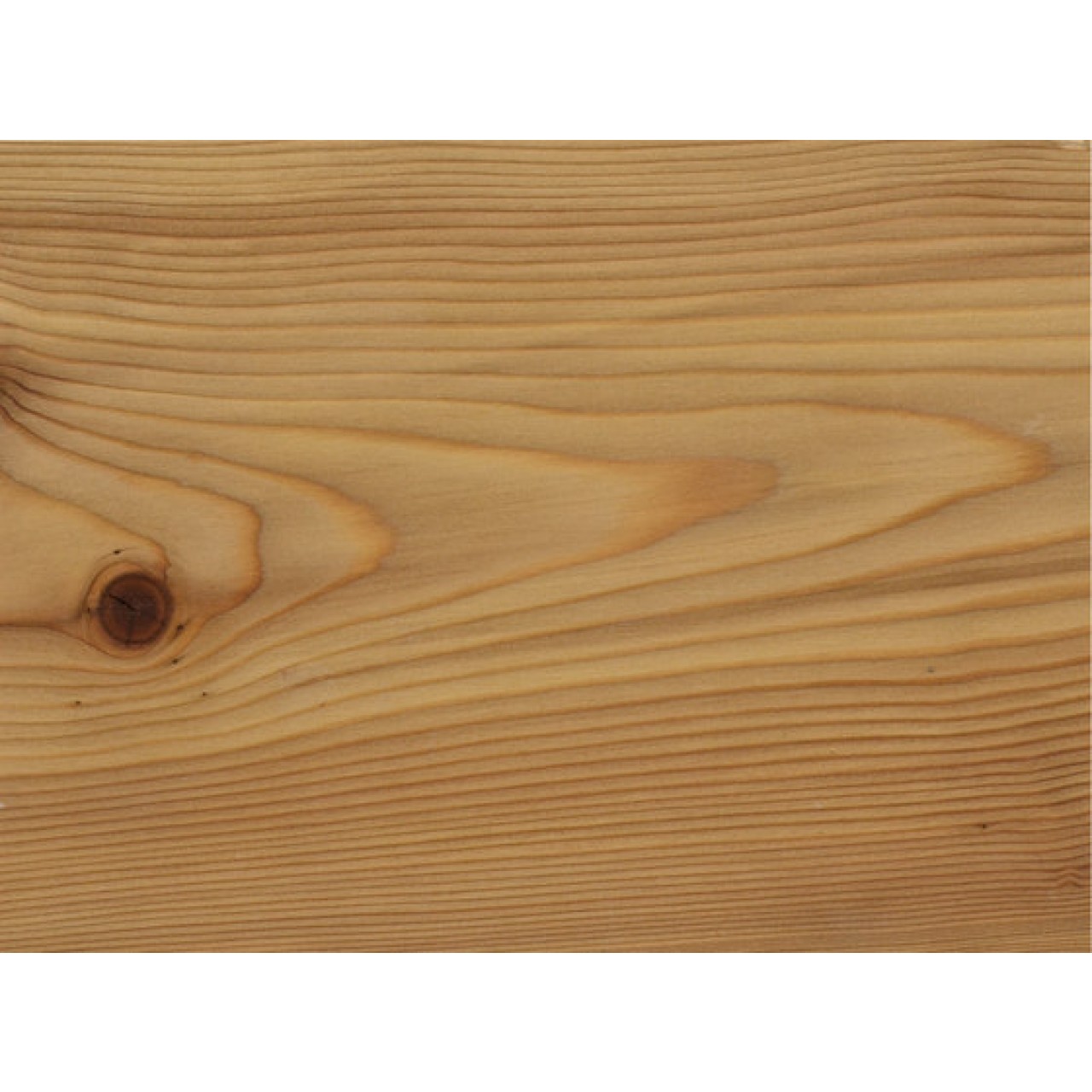 LARCH  Wide - Plank
