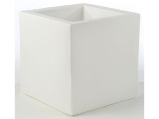 FANG CUBO