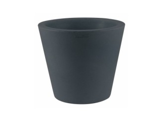FANG CONO
