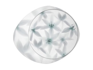 WAGASHI PICCOLA HALOGEN  