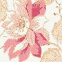 Marella Rose A